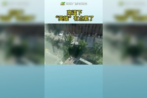 南京疫情源头.南京役情源头