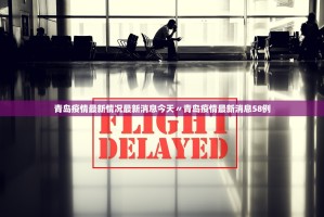 31省区市新增本土确诊80例︰(31省区市新增71例本土确诊)