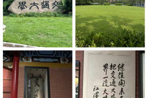 上海新增-上海新增双一流高校