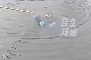 「河南最新消息」〃溺水救人 河南最新消息