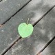 “上海新增2例社会面无症状” 上海新增本土6例涉及区域和场所？