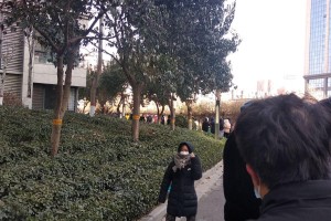 石家庄新增35例确诊:含多名儿童〃石家庄新增35例本地确诊