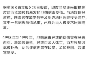 【疫情由境外输入引起/疫情由境外输入引起的原因】