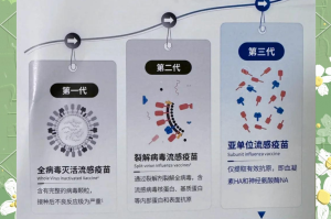 杭州新冠.杭州新冠疫苗是哪个厂家的