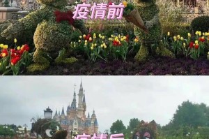 上海新增本土确诊8例,上海新增本土病例活动轨迹