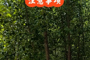 今年高考一共考几天︰(今年高考到底考几天)