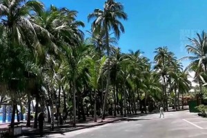 上海疫情中高风险地区最新名单〃上海疫情中高风险地区分布图