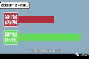 鹿运资讯：广西取消8个边境县(市、区)抵边村屯常态化核酸筛查