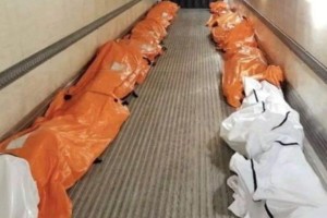 美国疫情最新数据︰(美国疫情速报最新)