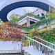 「上海三地列为中风险地区」〃上海三地列为中风险地区怎么办