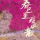 禄口机场疫情︰(禄口机场疫情什么时候开始的)