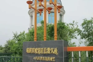 “哈尔滨60号公告” 哈尔滨601停运？