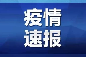 国内疫情,国内疫情是哪年开始到什么时候结束的