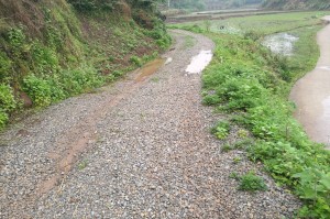 【四川邻水县疫情源头/四川省邻水县防疫新闻】