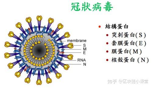 “美国新型冠状病毒最新消息” 美国新型冠状最新情况？-第3张图片
