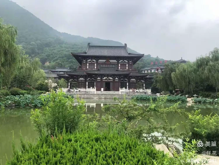 重庆确诊者曾游西安-重庆确诊人曾到西安-第2张图片