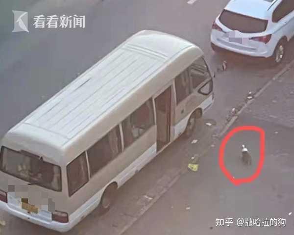 上海北蔡疫情,上海北蔡防疫站电话-第2张图片