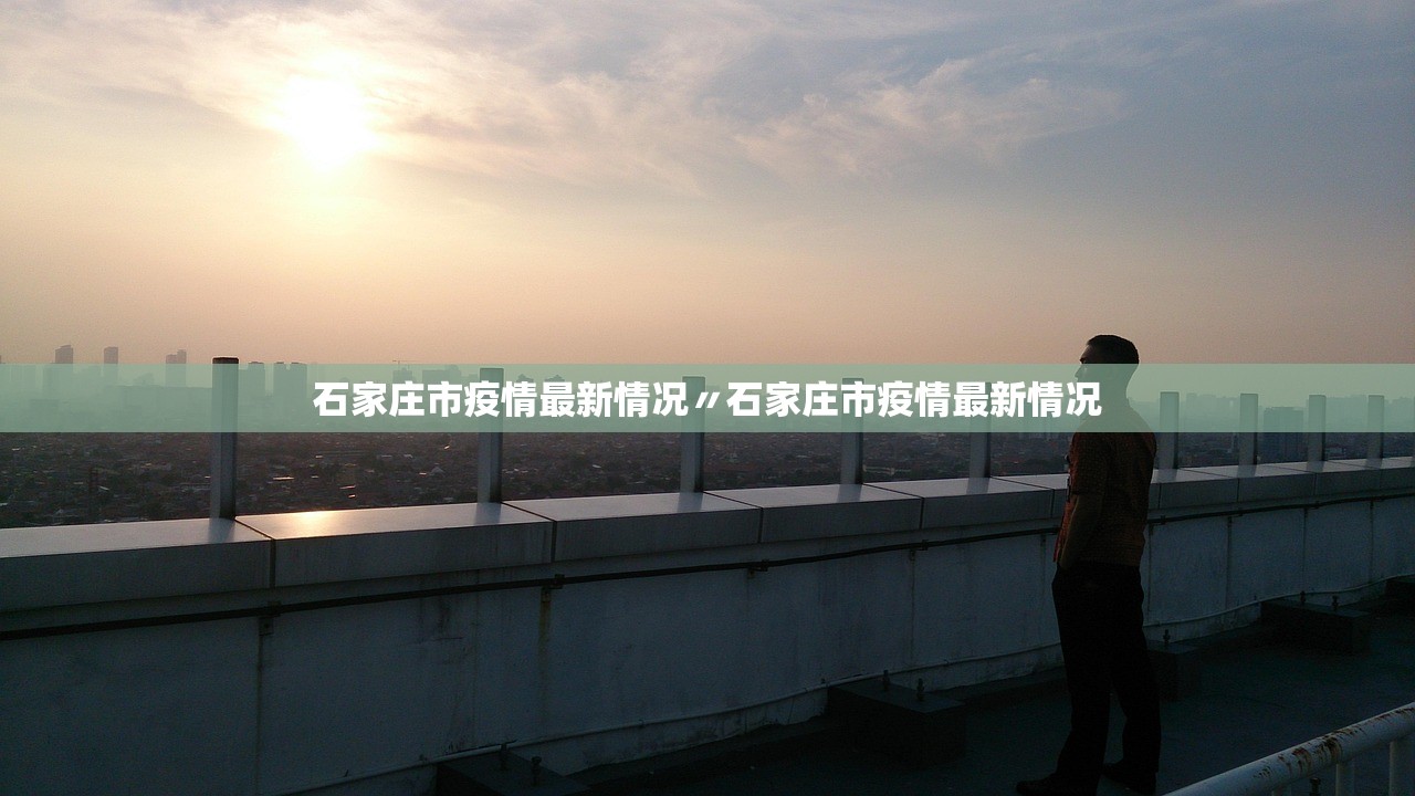 石家庄确诊.石家庄确诊病例行动-第1张图片