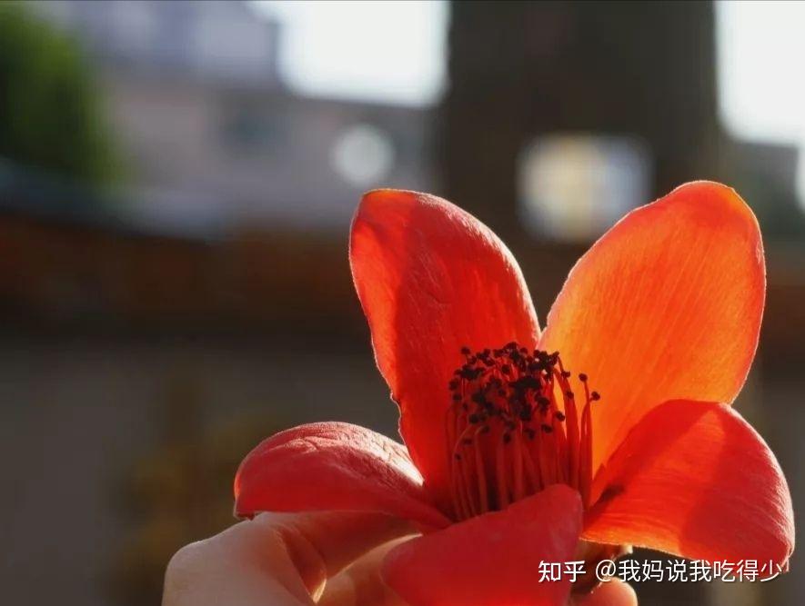 广东新增46例本土〃广东新增47例-第2张图片