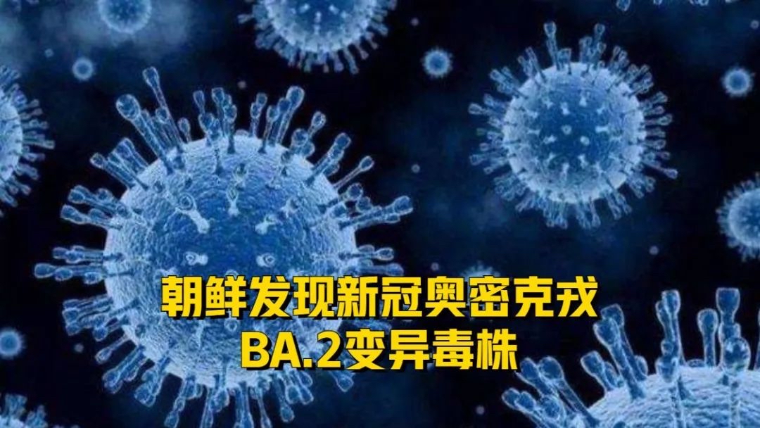 “2023第二波疫情已经到来了	” 2020第二波疫情？-第1张图片