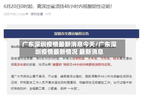 广东本地疫情形势如何︰(广东当前疫情报道)-第1张图片