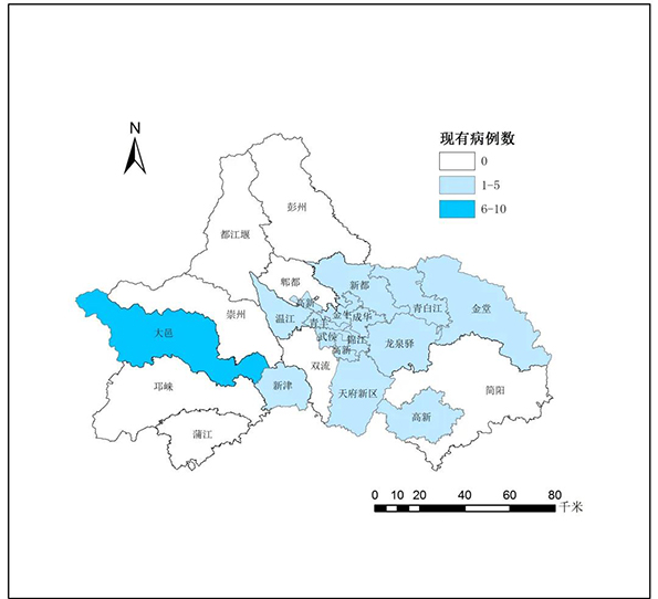 “成都新冠疫情最新消息” 成都新冠最新信息？-第2张图片