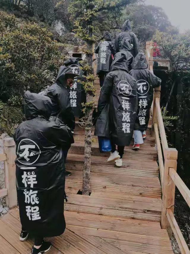 “媒体：大面积感染保定很淡定” 保定感染人数？-第2张图片